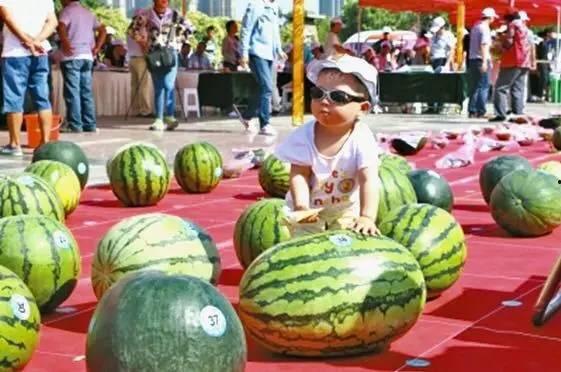 河南师范吃瓜视频,揭秘校园生活趣味瞬间