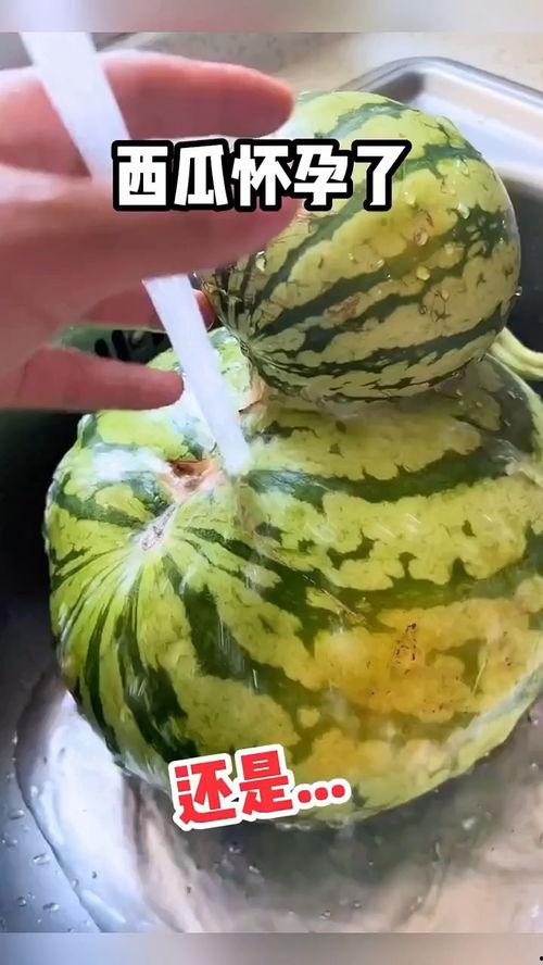 有趣的吃瓜视频