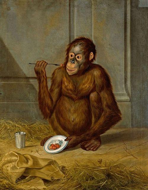 吃瓜吃出猿猴图片搞笑视频,瓜中现猿猴，搞笑视频笑翻网友