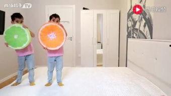 猴吃瓜视频直播,趣味横生的动物世界直播秀