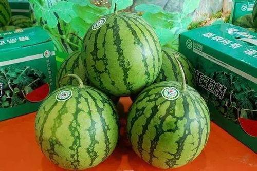 菏泽吃瓜原视频,一场网络热议背后的真相揭秘