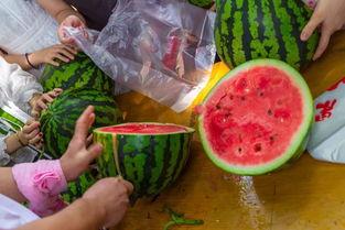 民间吃瓜视频,趣味横生的日常生活缩影