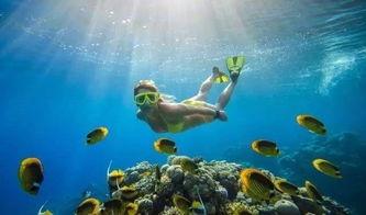 潜水吃瓜观众是谁啊视频,揭秘网络热词背后的故事