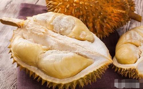 无敌小瓜吃榴莲视频,味蕾冒险之旅！