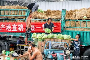 山东日照吃瓜视频,一场视觉与味蕾的双重盛宴