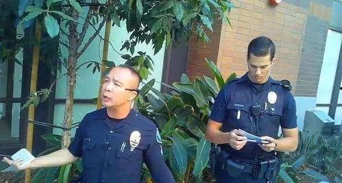 网红视频吃瓜警察