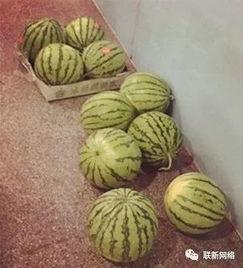 吃瓜来一波视频