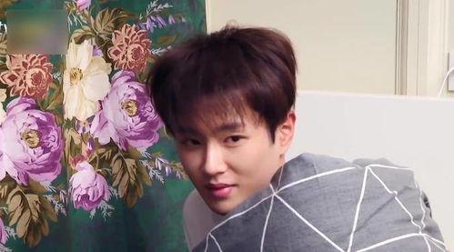 浅陌大型吃瓜现场视频,揭秘娱乐圈幕后风云