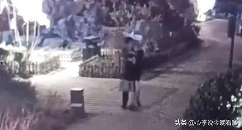 临清吃瓜事件视频曝光,视频曝光引发社会热议